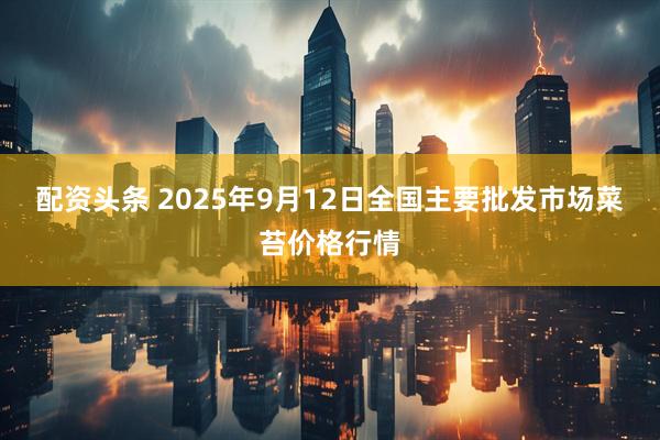 配资头条 2025年9月12日全国主要批发市场菜苔价格行情