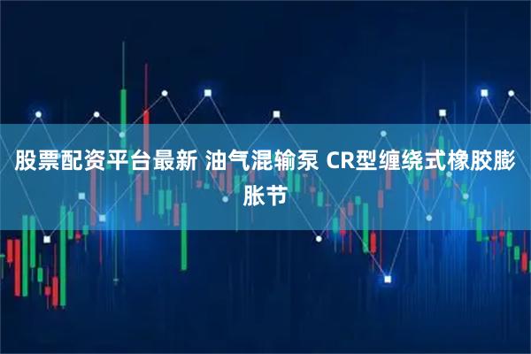 股票配资平台最新 油气混输泵 CR型缠绕式橡胶膨胀节