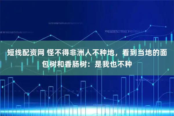 短线配资网 怪不得非洲人不种地，看到当地的面包树和香肠树：是我也不种