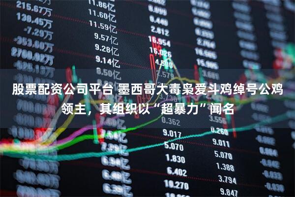 股票配资公司平台 墨西哥大毒枭爱斗鸡绰号公鸡领主，其组织以“超暴力”闻名