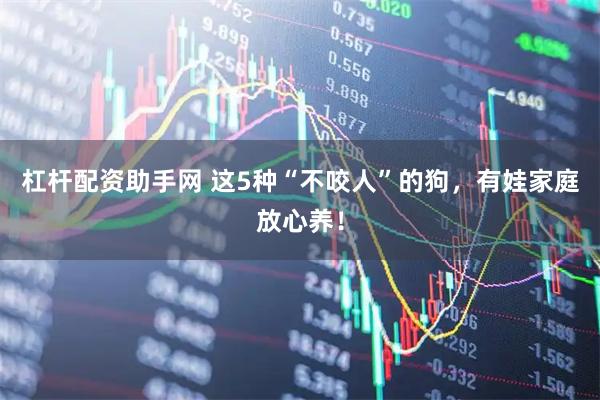 杠杆配资助手网 这5种“不咬人”的狗，有娃家庭放心养！