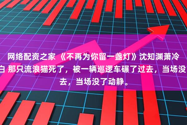 网络配资之家 《不再为你留一盏灯》沈知渊萧冷玉苏洛白 那只流浪猫死了，被一辆巡逻车碾了过去，当场没了动静。