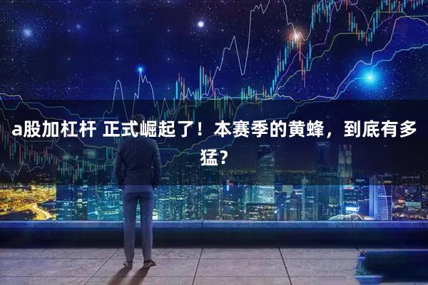 a股加杠杆 正式崛起了！本赛季的黄蜂，到底有多猛？